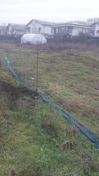 Teren intravilan 408 mp Chiajna Str. Ilie Petre toate utilitatile 800 m Auchan - 3