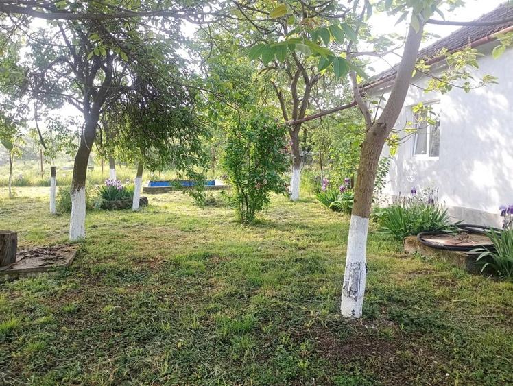 Casă individuală cu 5 camere cu Teren 800 Mp în Aluniș