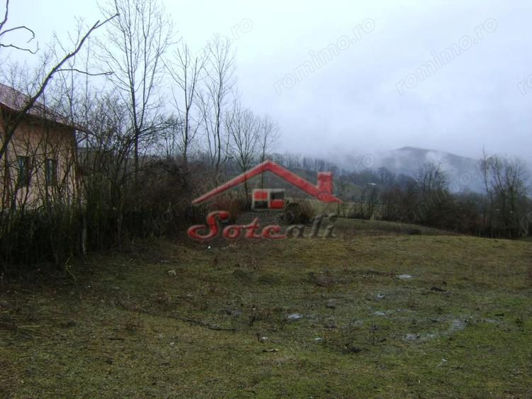Teren de 2656 mp, în Drăgăneasa