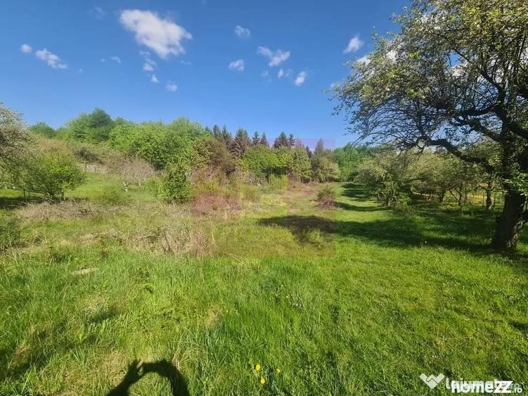 Teren de 2500 mp, în Voila