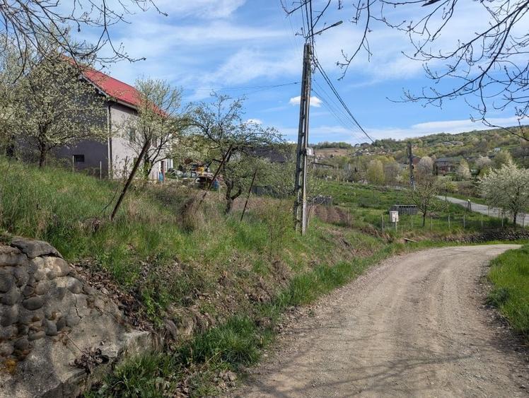 Teren de vanzare Valea Jelnii langa asfalt - 4