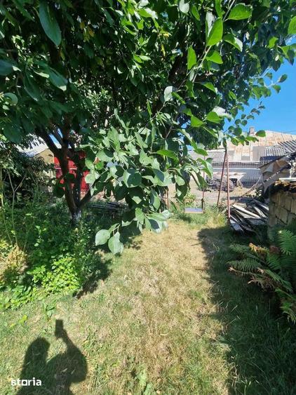 Casă cu 3 camere cu Teren 458 Mp în Central