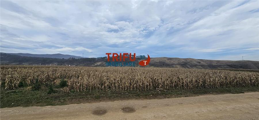 Teren agricol extravilan de 3400 mp, în Ampoi 1