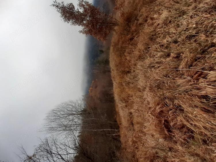 Teren de 5000 mp, în Potoci