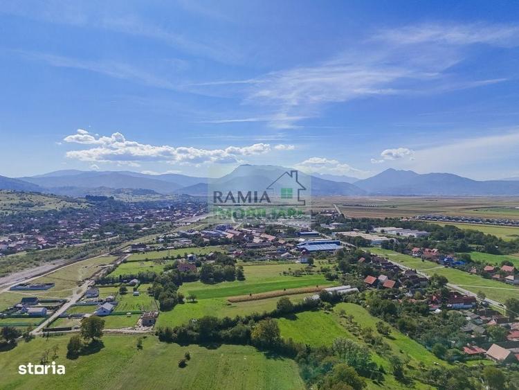 Spațiu comercial, în Cărpiniș