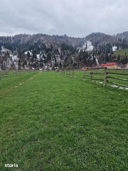 Teren de 2466 mp, în Frumosu