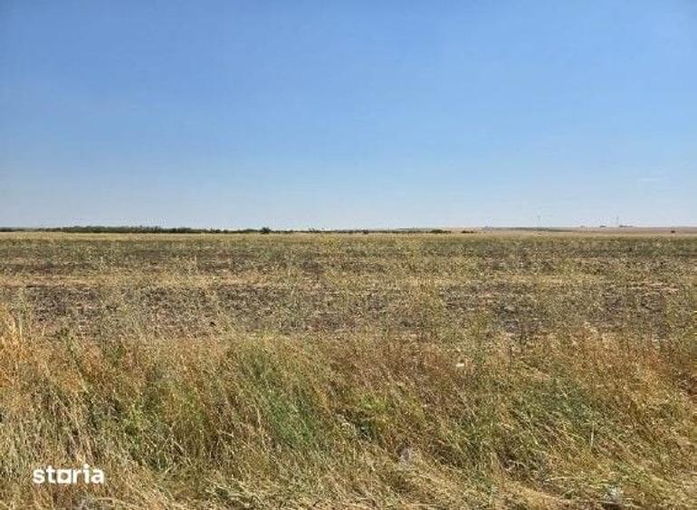 Teren de 4300 mp, în Smârdioasa