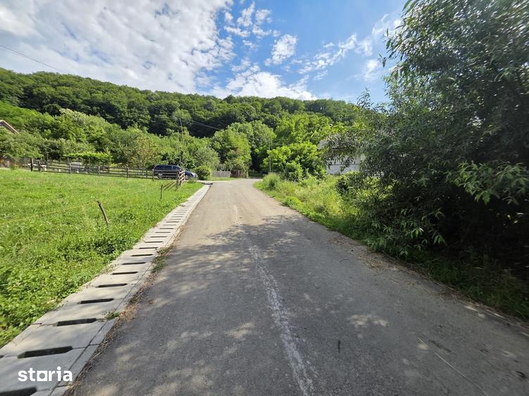 Teren intravilan de vanzare 2340 mp Pauli?, Somus jud. Hunedoara - 3