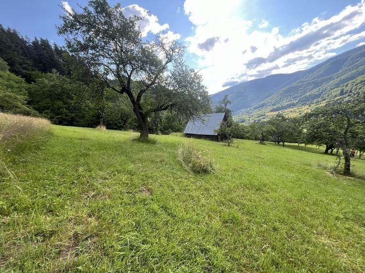 Teren de 5500 mp, în Râu Sadului