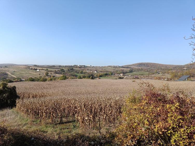 Teren agricol extravilan de 5671 mp, în Dâmbul Rotund