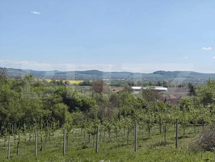 Teren Construcții intravilan de 1400 mp, în Curteni