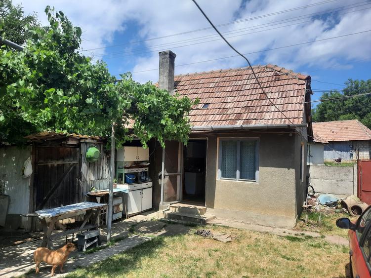 Casă cu 2 camere în Central