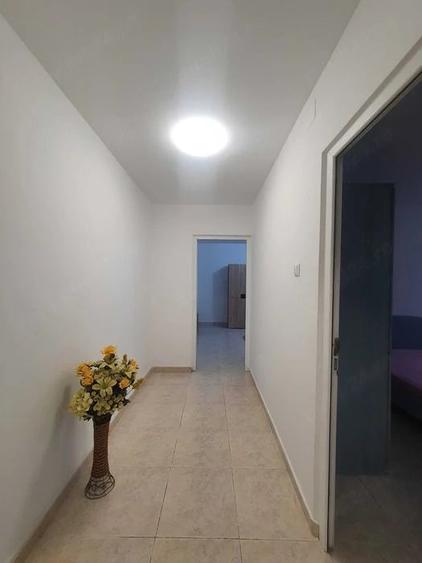 Drumul Taberei Valea Oltului - 3