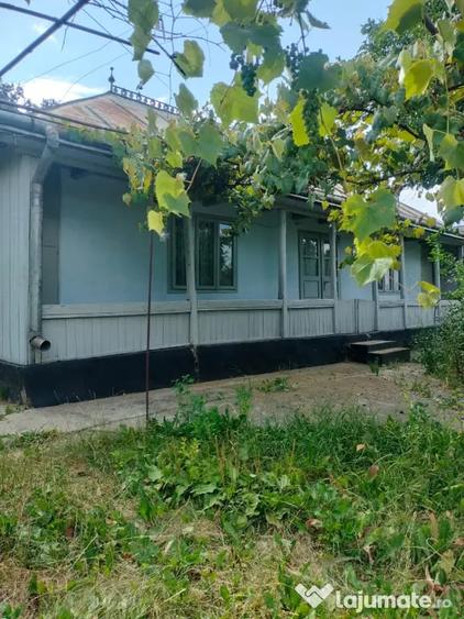 Teren de 2054 mp, în Curtești