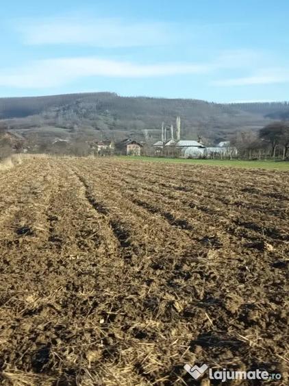 Teren intravilan de vanzare - 7