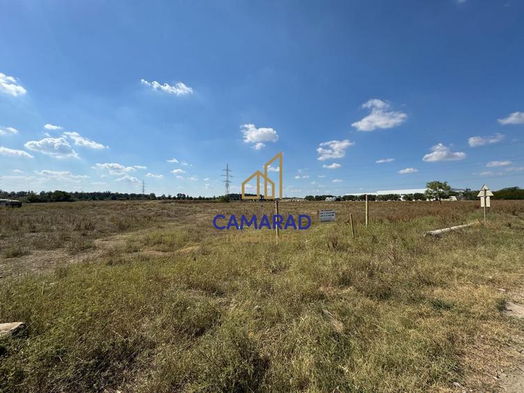 Teren Construcții intravilan de 20780 mp, în Buftea