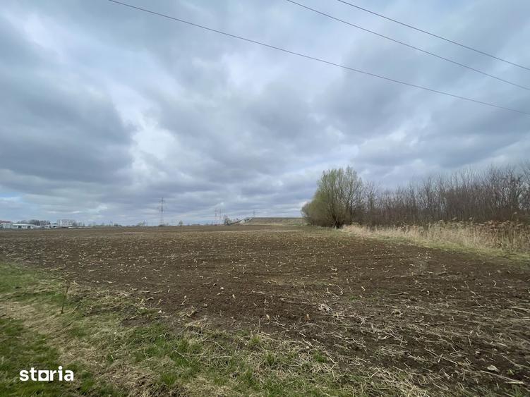 TEREN INTRAVILAN | 50 ARI | ZONA PERIFERICA RADAUTI - 8