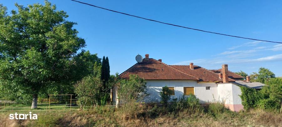 Casă cu 3 camere cu Teren 1648 Mp în Uileacu de Beiuș