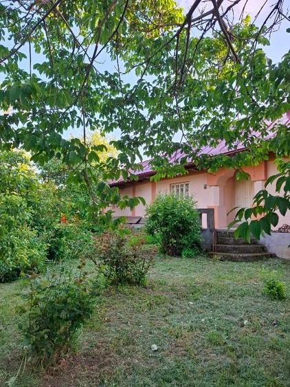 Casă individuală cu 3 camere cu Teren 7200 Mp în Galbeni (Filipești)