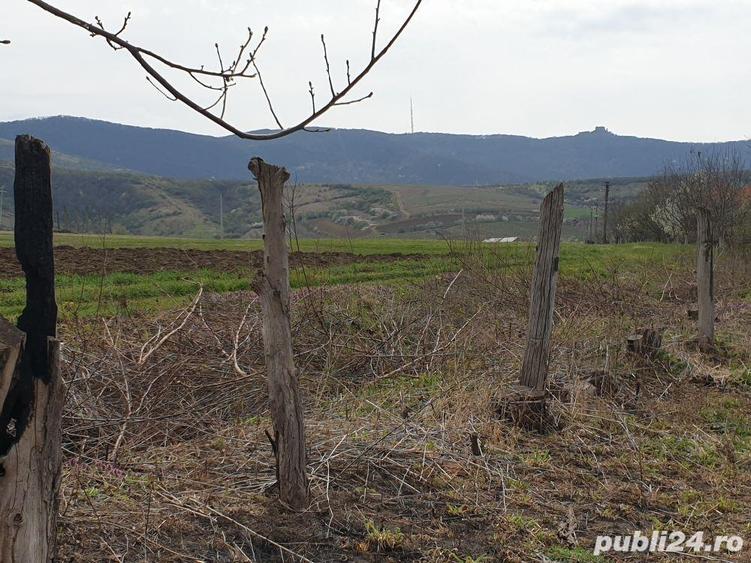 Teren de 2200 mp, în Mâsca