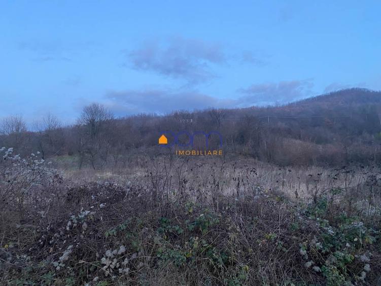 Teren Construcții intravilan de 4836 mp, în Mehadia