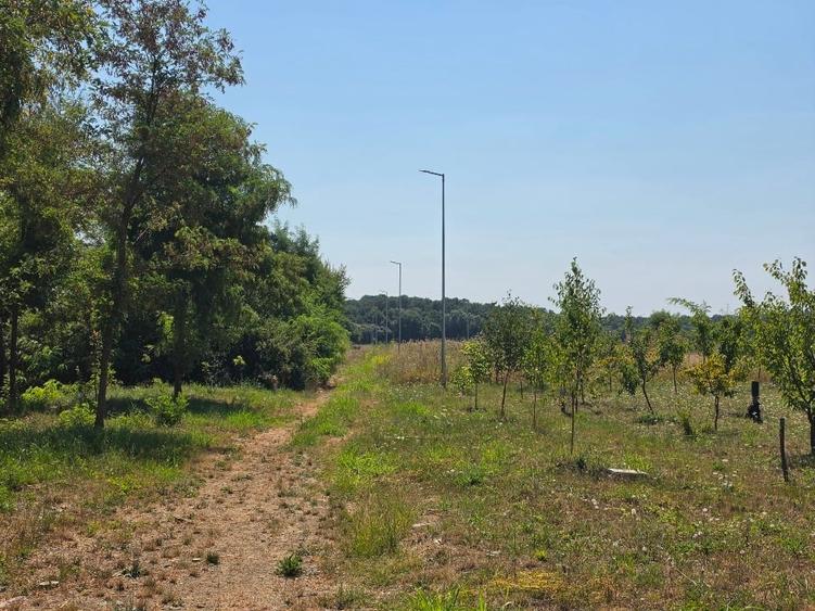 Teren Construcții intravilan de 605 mp, în Ghiroda
