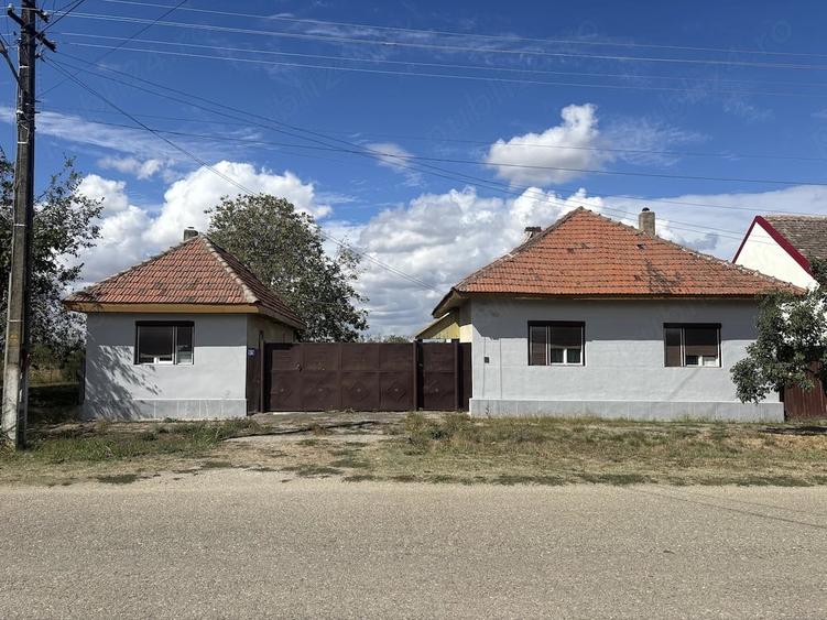 Casă cu Teren 4000 Mp în Sălbăgelu Nou