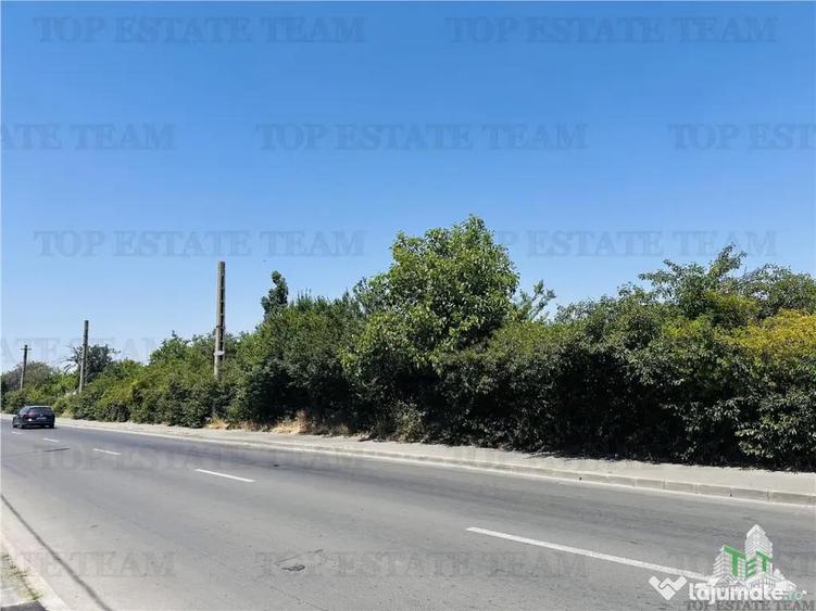 TEREN STRADAL GIULESTI, 50000 mp, la asfalt, intravilan, toa - 1