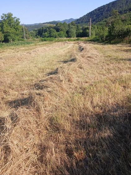 Teren de 1500 mp, în Central
