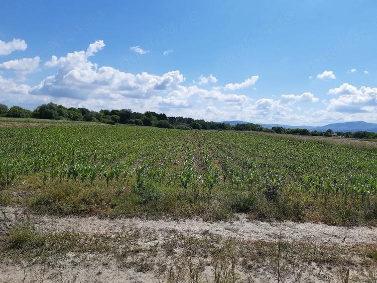 Teren de 20300 mp, în Prejmer