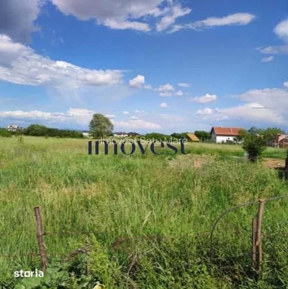 Teren extravilan ( padure) de vanzare