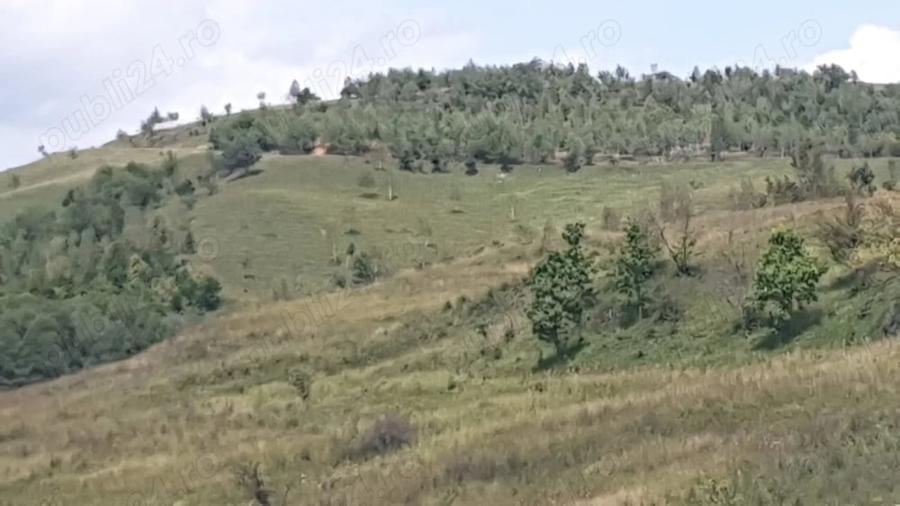 Teren de 500 mp, în Sălicea