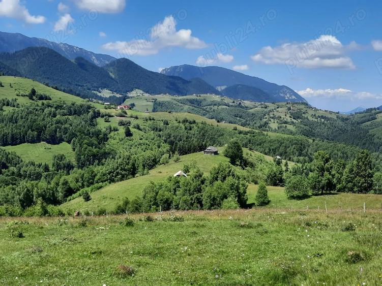 Teren de 40000 mp, în Șirnea
