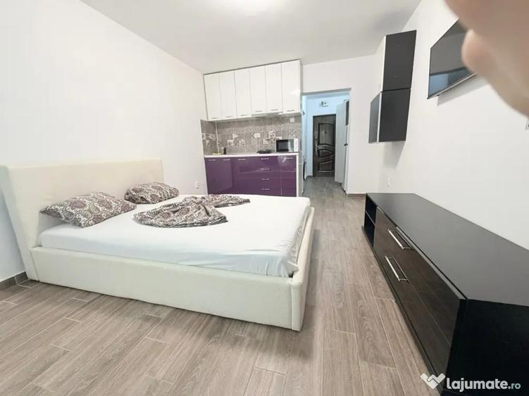 Apartament 1 camera de inchiriat - 4