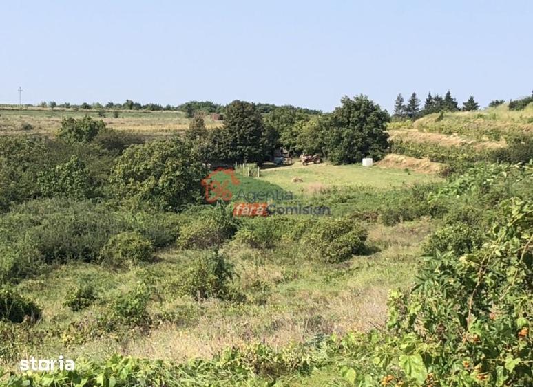 Teren de 19000 mp, în Aroneanu