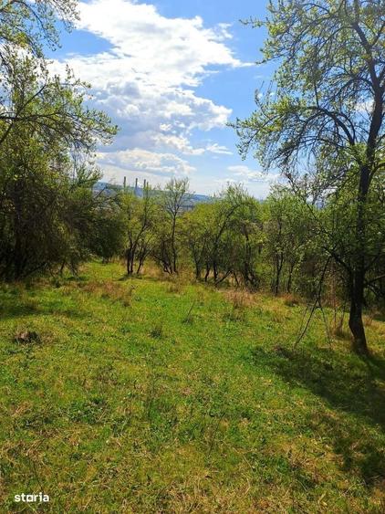 Teren de 1600 mp, în Căzănești