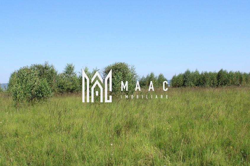 Teren agricol extravilan de 3100 mp, în Arpașu de Sus