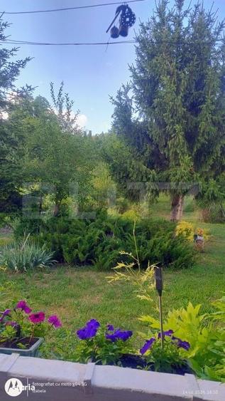 Casă cu 4 camere cu Teren 7729 Mp în Central
