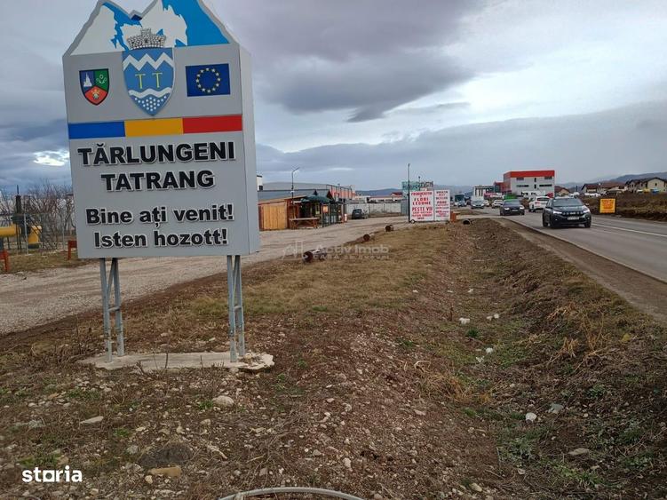 Teren de 9000 mp, în Est