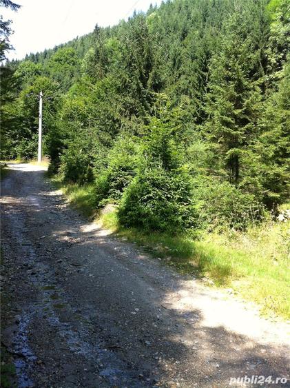 Teren de 4200 mp, în Rășinari