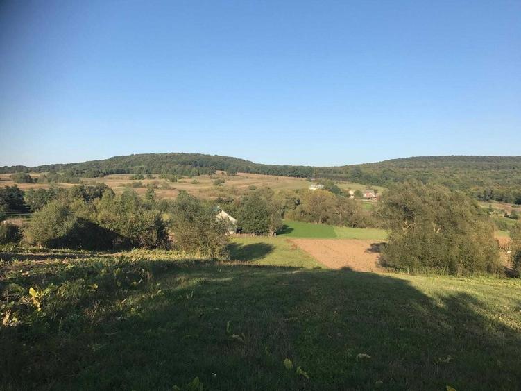 Teren de 2500 mp, în Dărmănești