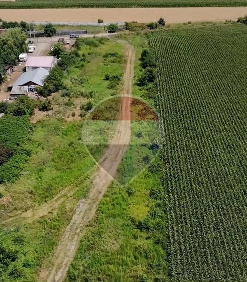 Teren de 5029 mp, în Mihai Bravu