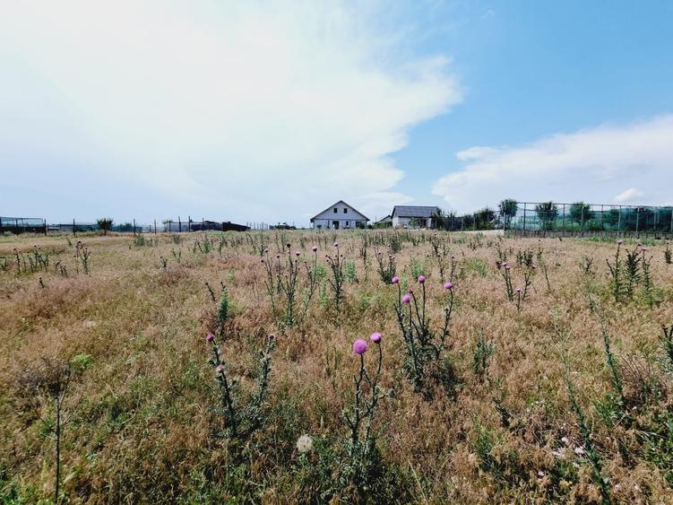 Teren Construcții extravilan de 873 mp, în Vânători