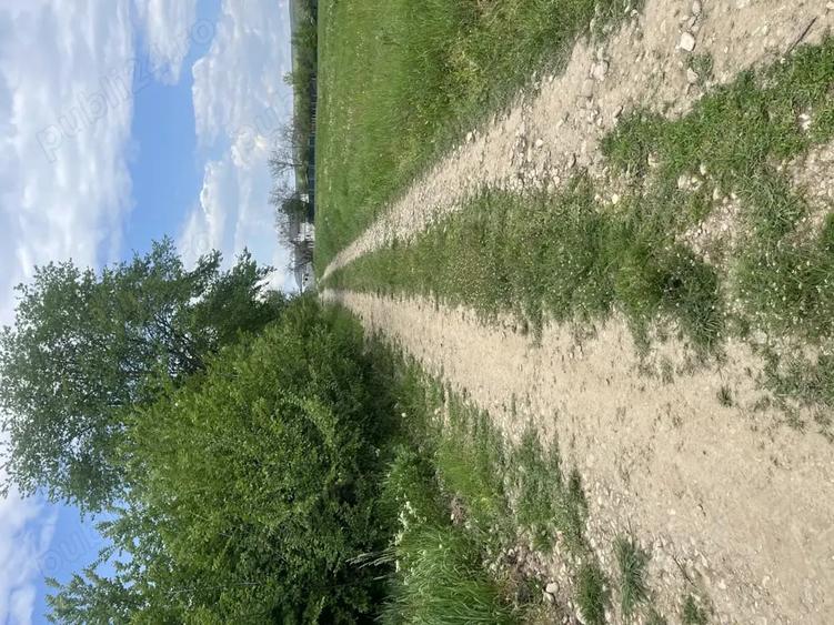 Teren de 1600 mp, în Dragomirești