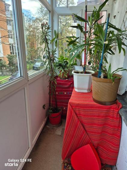 Apartament 2 camere Brazda lui Novac - 4