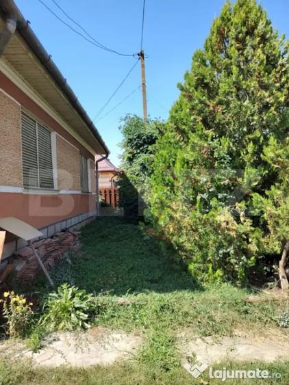 Casă cu 3 camere cu Teren 3900 Mp în Luna