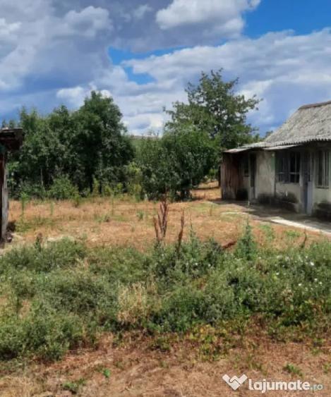 Casa batraneasca cu teren generos de 1.239 mp in Brade - Craiova (Dolj) - 5