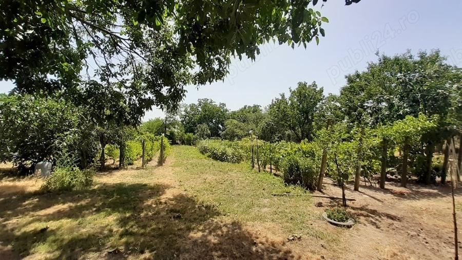 Casă cu 3 camere în Frumușani