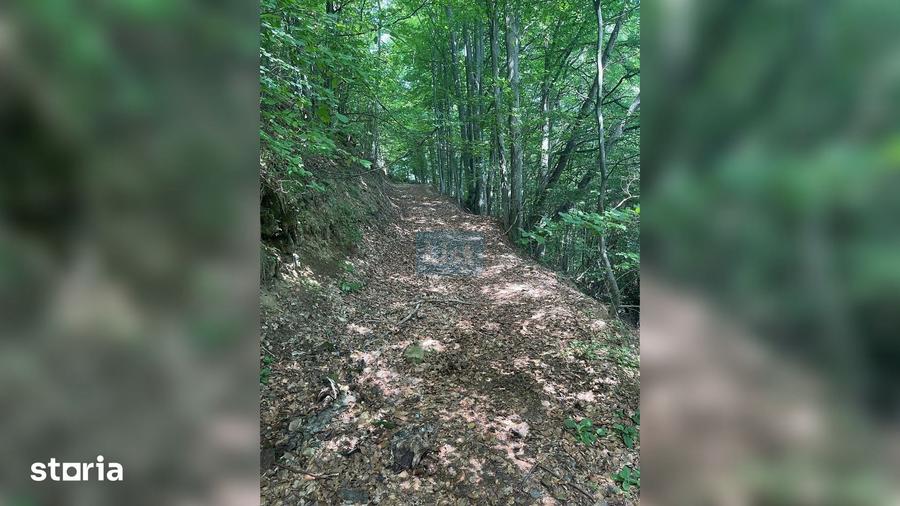Teren de 20000 mp, în Săcuieu