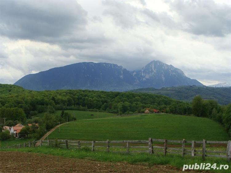 Teren de 11600 mp, în Poiana Mărului